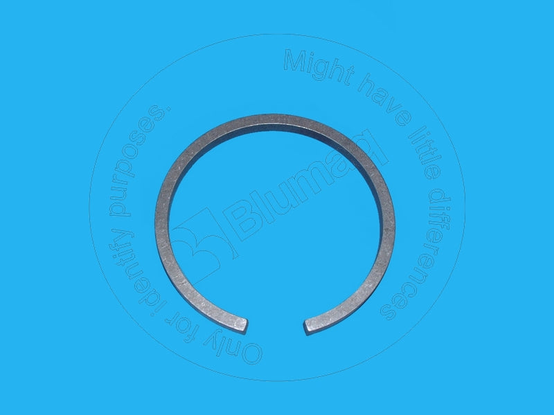 6V1229 - RING