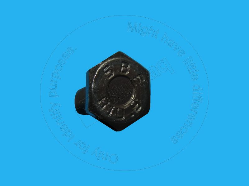 6V5843 - BOLT