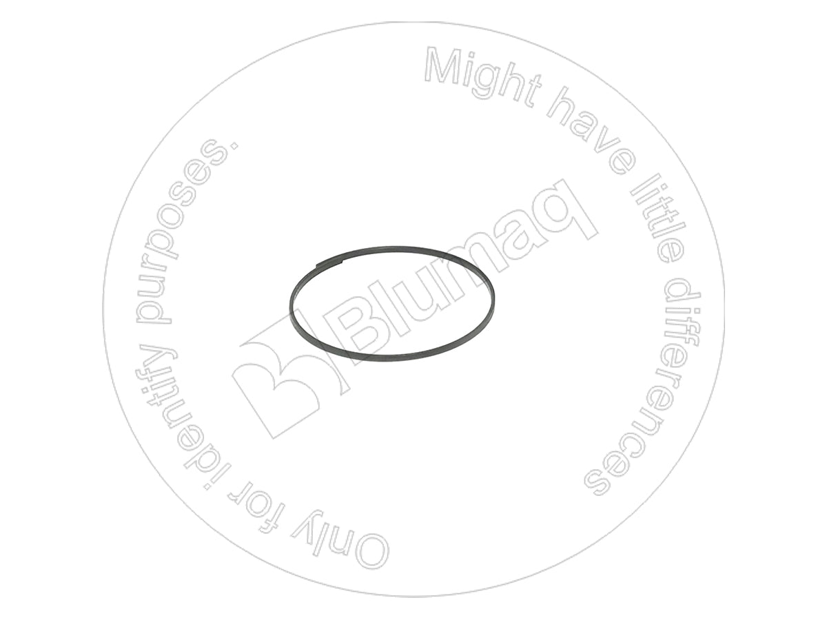 6Y5793 - SEAL RING - MXPseal.comCATERPILLAR