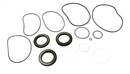 7011987 - T110 HYDROSTATIC MOTOR KIT - MXPseal.com