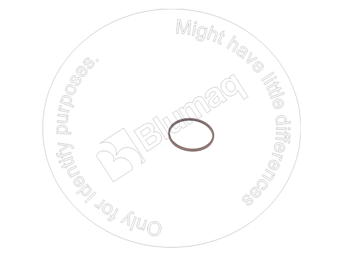 714-07-12290 - SEAL RING