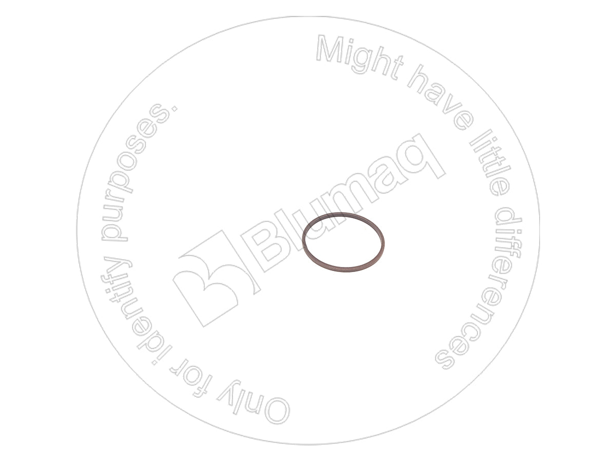 714-07-12290 - SEAL RING