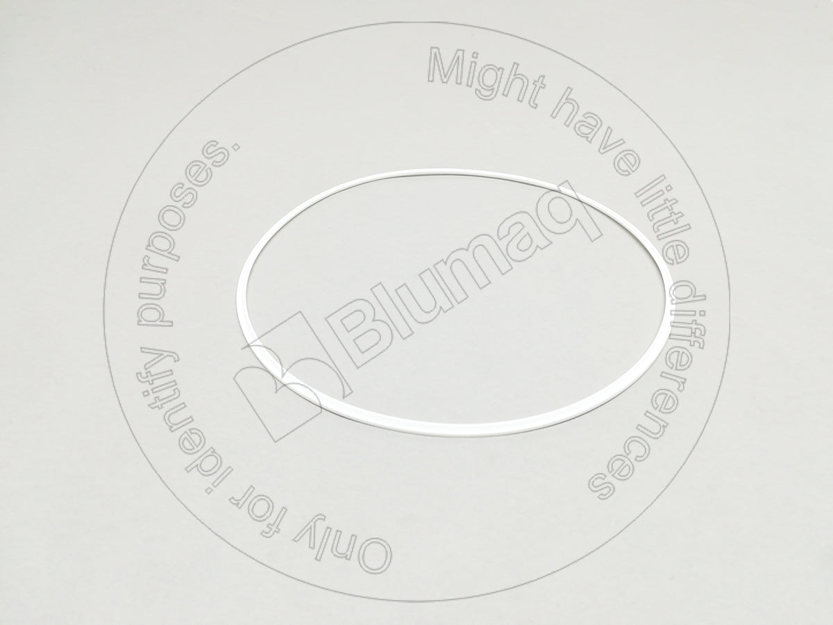 7G9224 - SEAL RING
