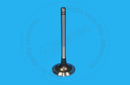 8N0875 - EXHAUST VALVE