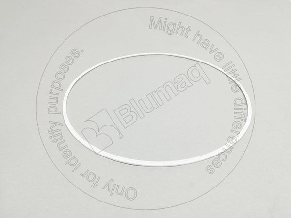 8P2019 - SEAL RING - MXPseal.com