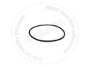 8U0754 - SEAL RING - MXPseal.com