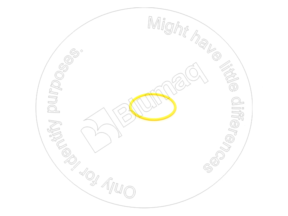 8M5010 - ORING