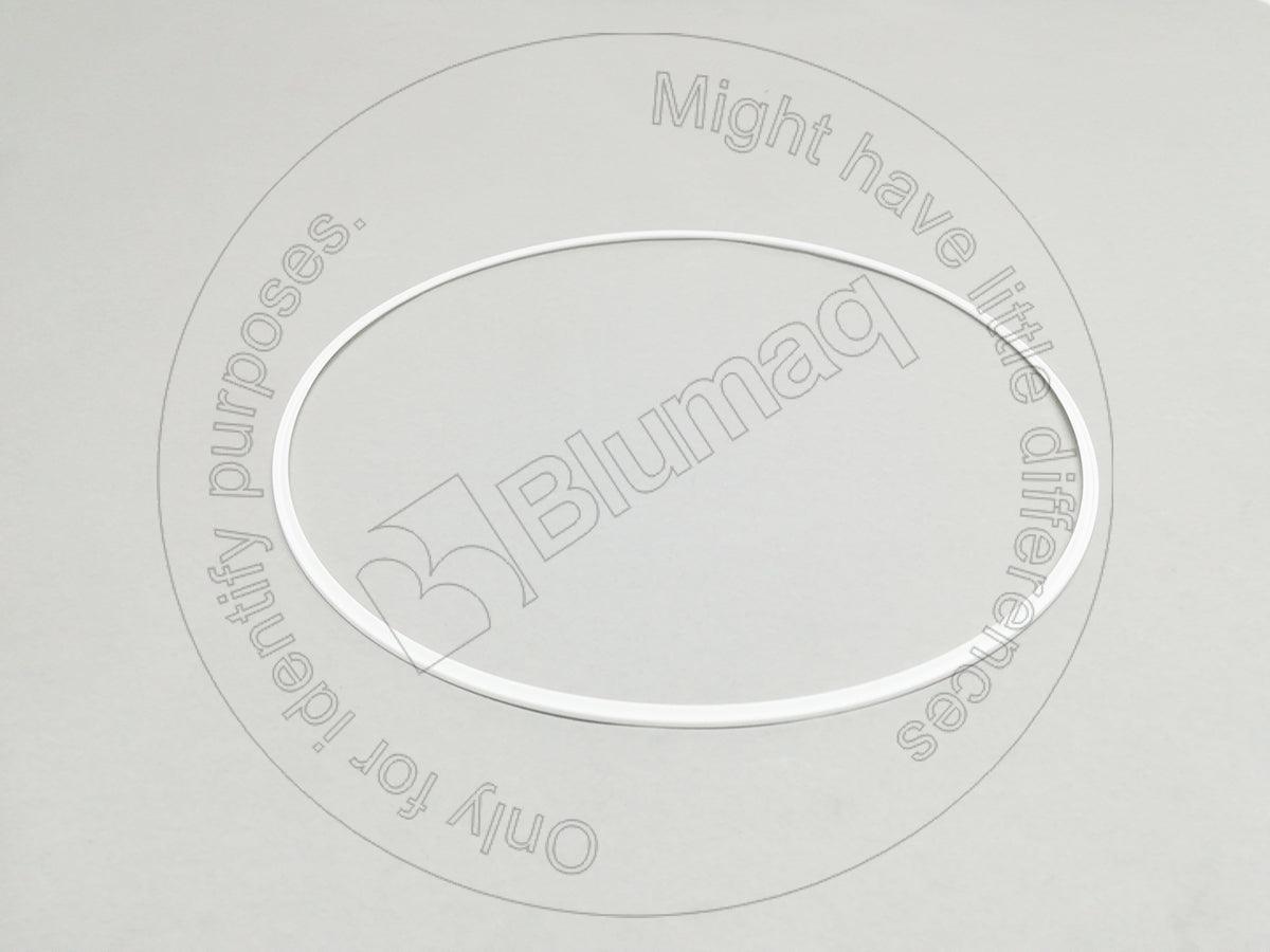 8P2019 - SEAL RING - MXPseal.com