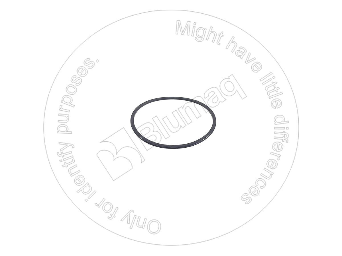 9D7972 - SEAL RING