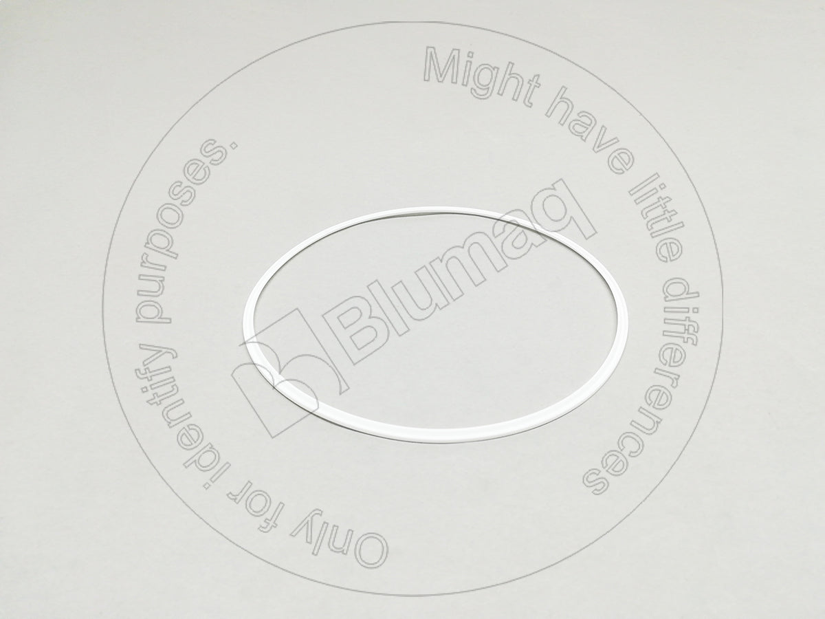 9P6797 - SEAL RING