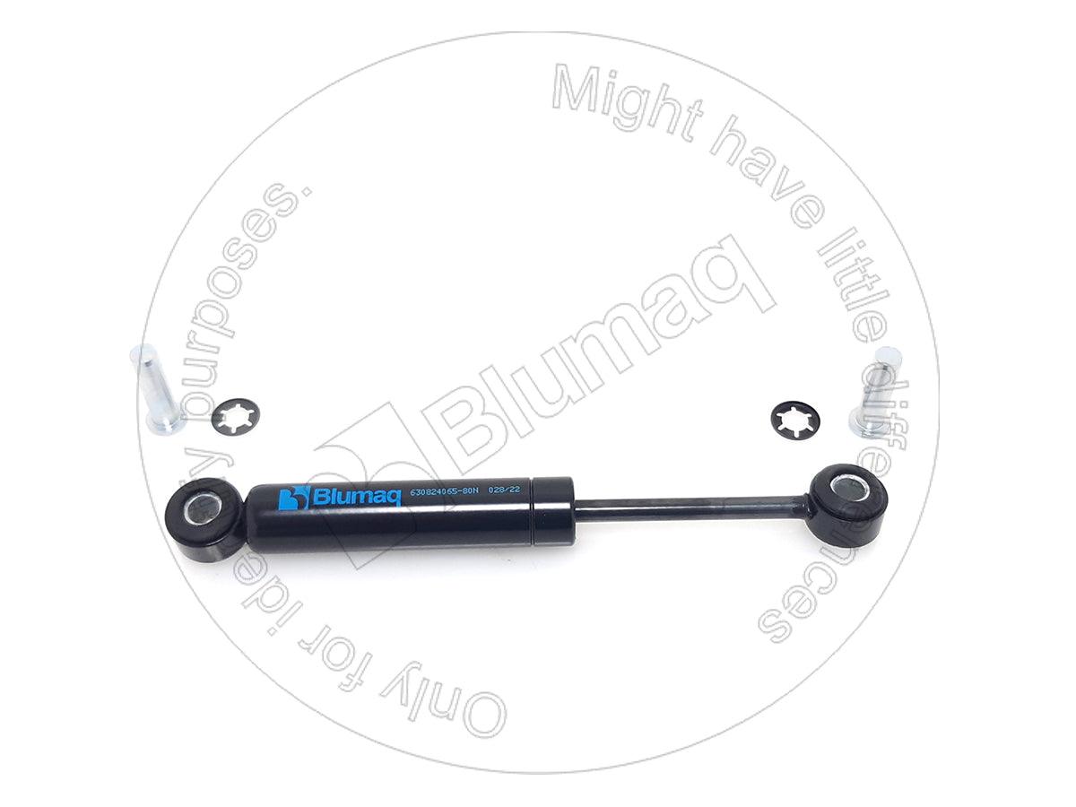 AS164899 - PNEUMATIC CYLINDER - MXPseal.com