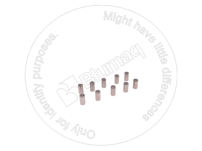 CA0028370 - NEEDLE BEARINGS SET (10pcs/SET) - MXPseal.com