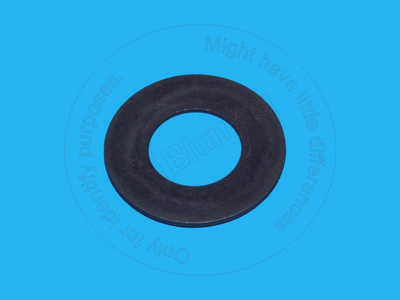 CA0128633 - SPRING WASHER