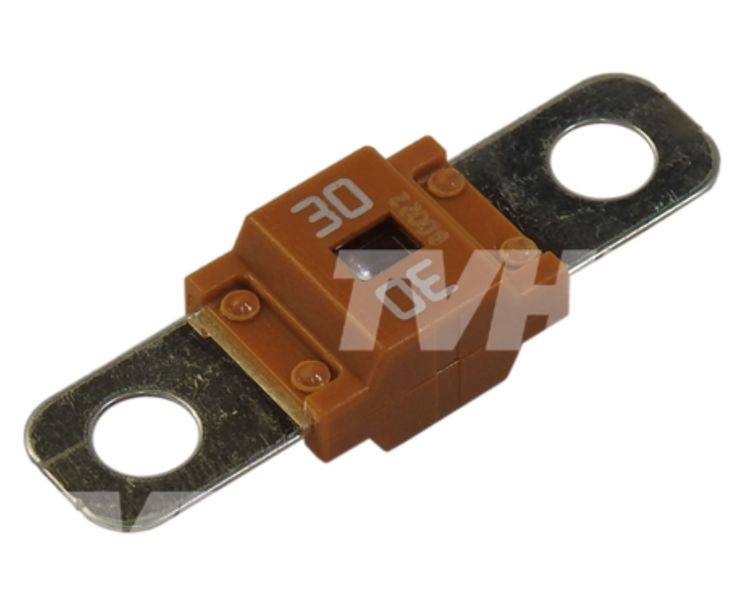 T25083924 - FUSE 30A