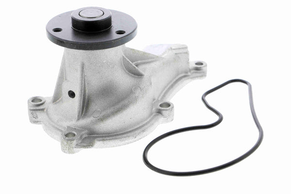 FD7 WATER PUMP ~ DELIVERY 14 DAYS - MXPseal.com