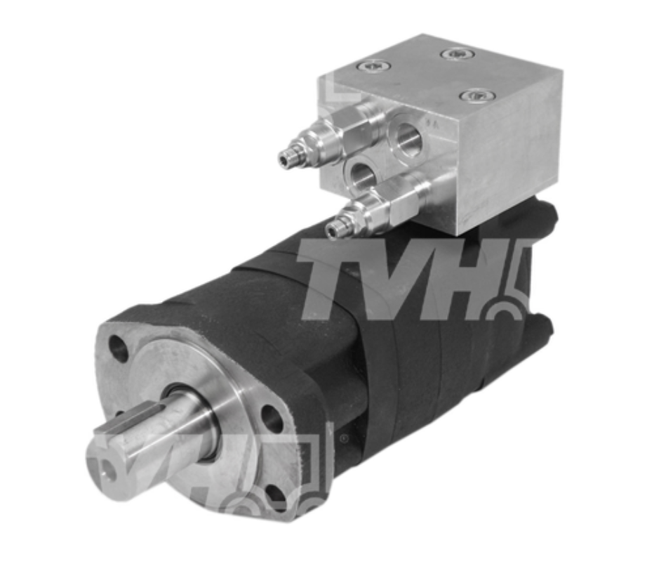 BR76196 - HYDRAULIC MOTOR