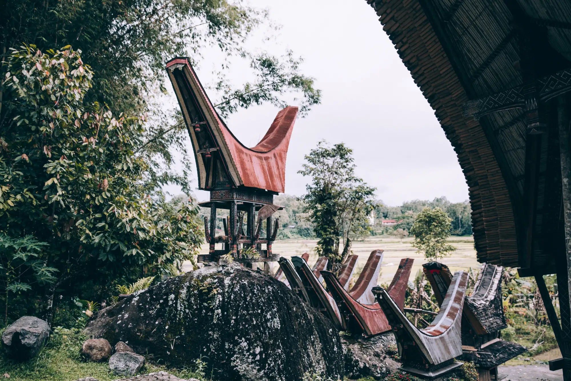 Traditional wooden house with a distinctive curved red roof and ornate carvings, set against lush greenery.