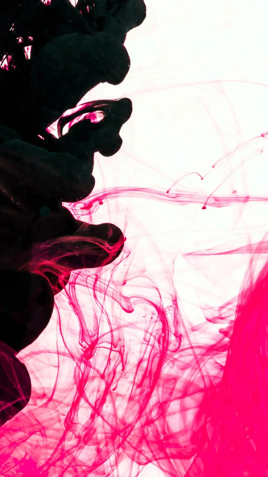 Vibrant fuchsia ink swirls against a stark white background, forming an abstract, fluid pattern.